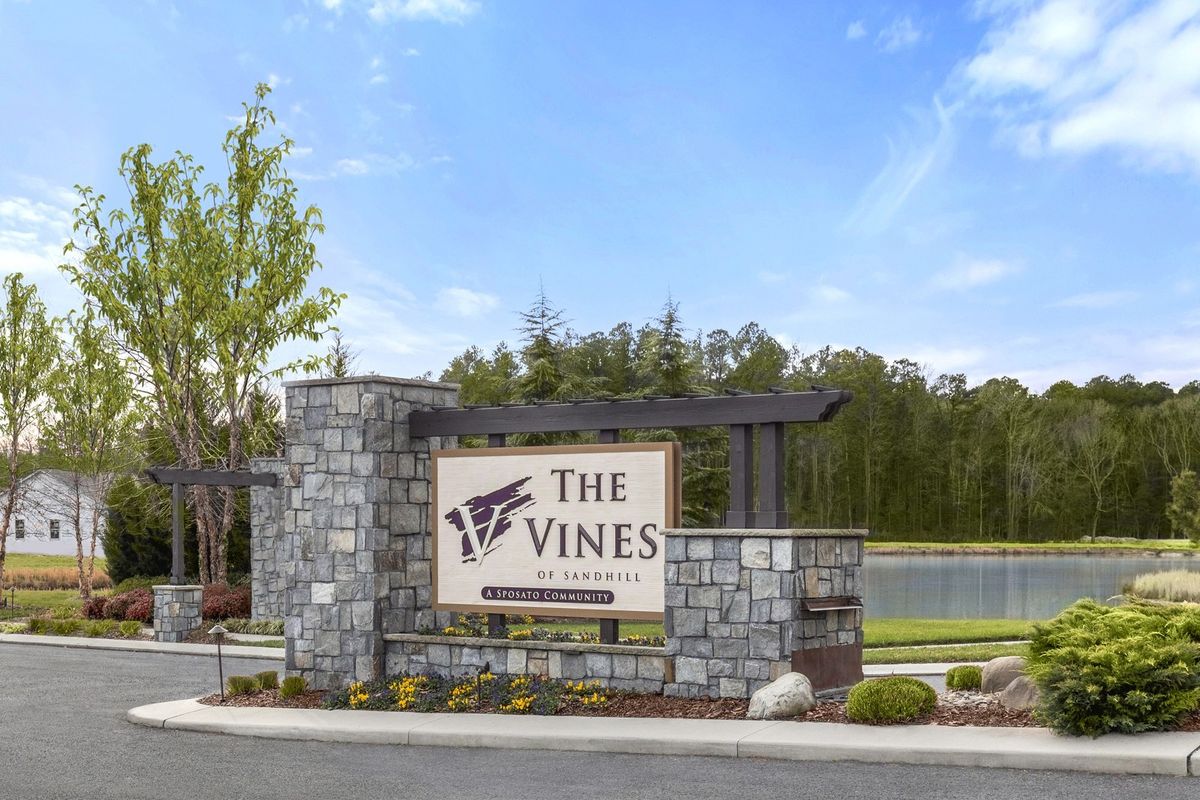 Photo for Vines of Sandhill, Listing Agent at Ryan Homes-DES