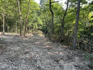 image 1 for 2371 County Road 359 Lots And Land $35,000
