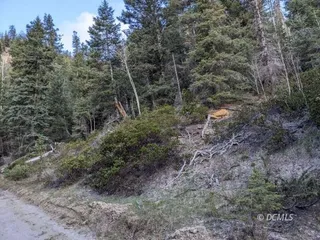 image 1 for Box Canyon Rd Lots And Land $22,000