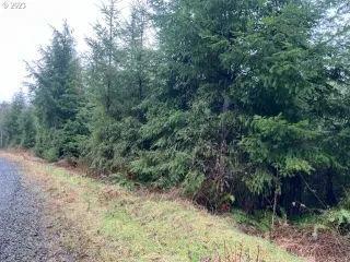 image 1 for Clatsop Fir Mainline Lots And Land $169,000