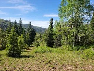image 1 for Braffits Creek Lot 61&62 Lots And Land Single Family Detached $95,000