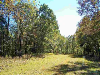 image 1 for 001 Rodberg Pl Lots And Land $9,000