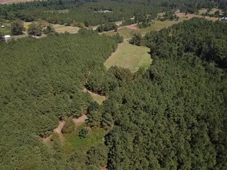 image 1 for 000 Hwy 86 E Lots And Land $348,000