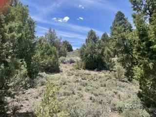 image 1 for F16 Ouray Cir Lots And Land $45,000