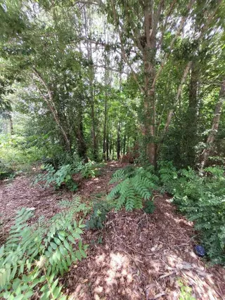 image 1 for 1077 Crooked Creek Road Lots And Land $49,900
