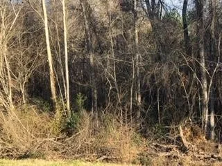 image 1 for 00 Hwy 135 Lots And Land Single Family Detached $10,900