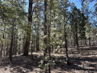 image 1 for 145 W Pinyon Rd Lots And Land $46,000