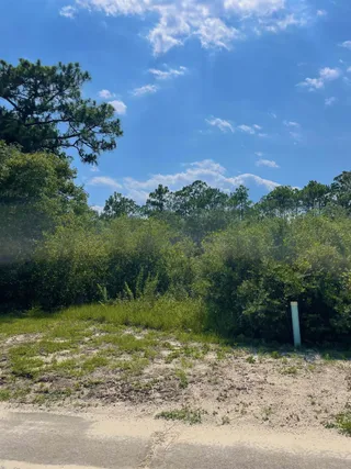 image 1 for 119 Spoonbill Court Lots And Land $35,900