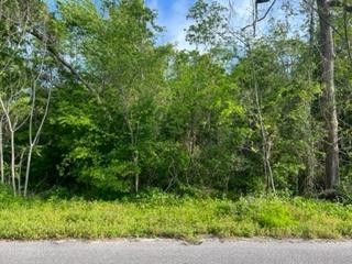 image 1 for 226 23RD AVE Lots And Land $38,000