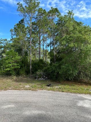 image 1 for 233 APALACHEE ST Lots And Land $44,900
