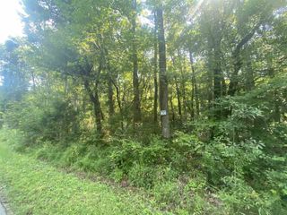 image 1 for 4442 Berline Drive Lots And Land $68,000