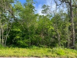 image 1 for 222 23RD AVE Lots And Land $38,000