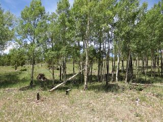 image 1 for TBD Beaver Loop Lot 152 Lots And Land $139,000