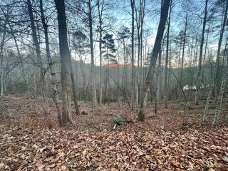 image 1 for Lot 4&6 Dogwood Trail Lots And Land Single Family Detached $35,000
