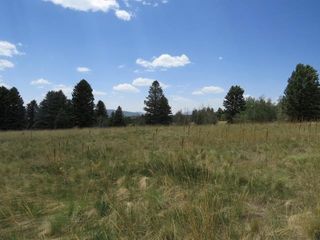 image 1 for TBD El Camino Real Lot 214 Lots And Land $107,000