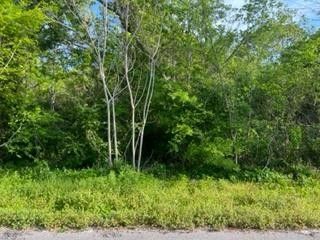 image 1 for 230 23RD AVE Lots And Land $38,000