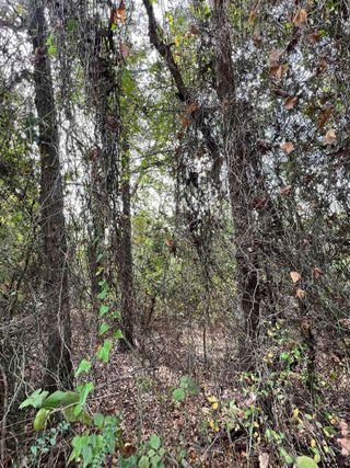 image 1 for Lot 35 Lookout Lake Cir Lots And Land Single Family Detached $14,999