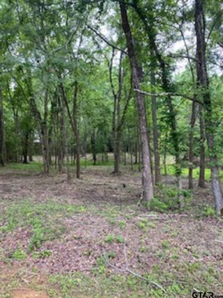 image 1 for 14113 & 14121 EAST RIDGE RD Lots And Land Single Family Detached $85,000