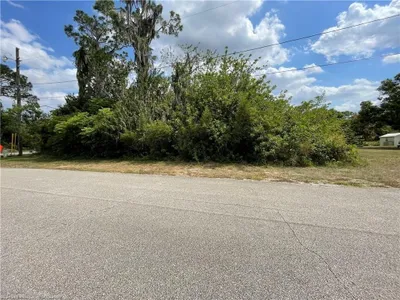 Photo for Celeste Lopez, Listing Agent at The Pipal Group