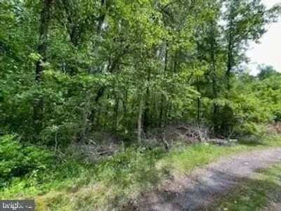 Photo for Michelle Johnson, Listing Agent at Tri-State Realty LLC