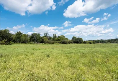 Photo for Shelley Hoffman, Listing Agent at 315 Realty Partners