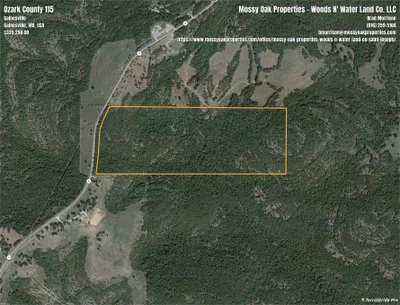 Photo for Brad Morrison, Listing Agent at Mossy Oak Properties- Woods N' Water Land