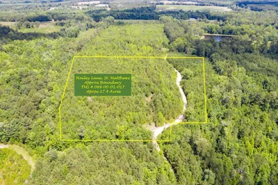 Photo for Brandon Ray, Listing Agent at Carolina One Real Estate- State Rd.